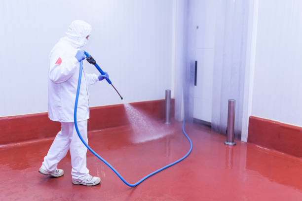 Pre-Holiday Cleaning in Chamblee, GA